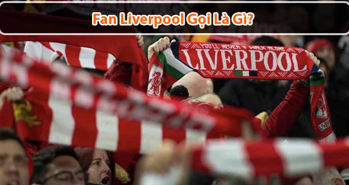 Người hâm mộ Liverpool được gọi là gì? Tại sao người hâm mộ Liverpool vẫn trung thành với câu lạc bộ?