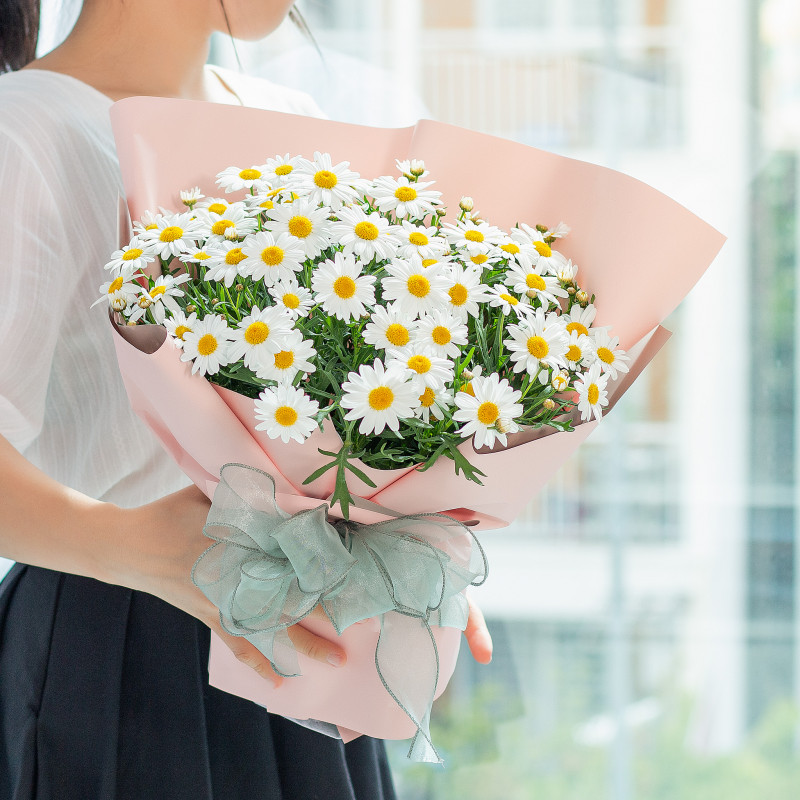 Hoa cúc: Nguồn gốc, Ý nghĩa, Trồng trọt và Chăm sóc